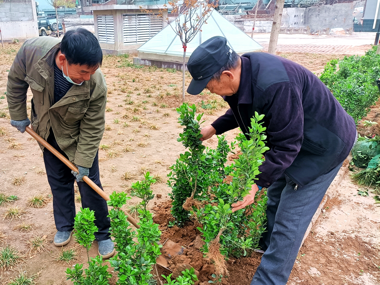 “綠色呼吁”——裕康物業植樹活動